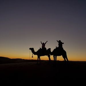 Meet your Posher, Anum